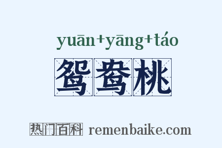 鸳鸯桃是什么意思的图片